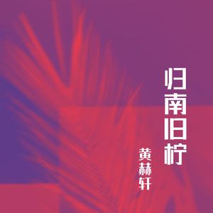 今夜离港
