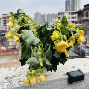 瞬间
