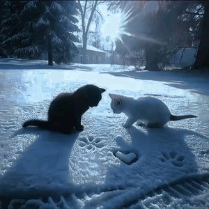 [Free]"谎言"-UK Garage Type Beat