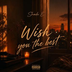 Shade E (Wish you the best)