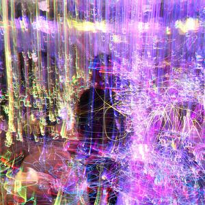 疯女人的马戏团