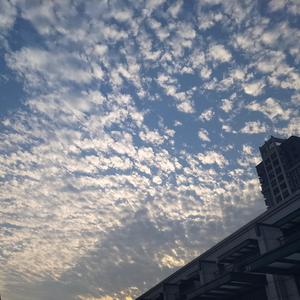 快回来吧！乌鲁子