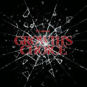 choose（평행의 선택）