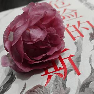 我已经到了幻想尽头