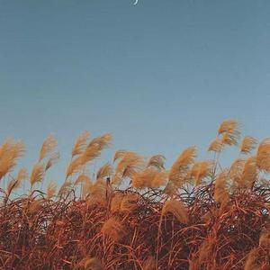 送你一朵小红花