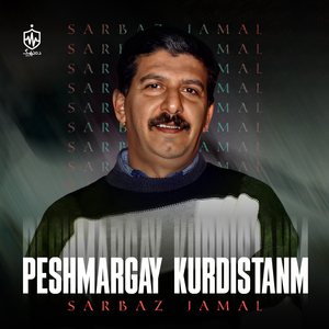 Peshmargay Kurdistanm