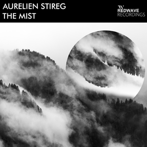 The Mist (Original Mix)