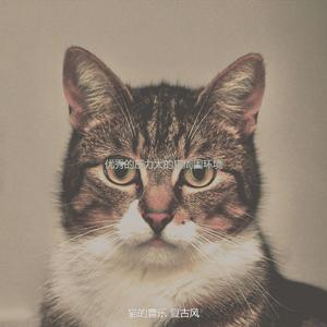 抚慰的压力大的猫回忆