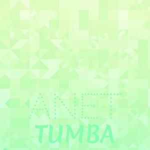 Section Countershaft