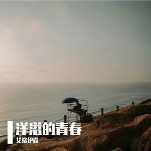 你的梦，不必为我亮