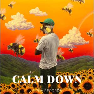 CALM DOWN (REMİX)