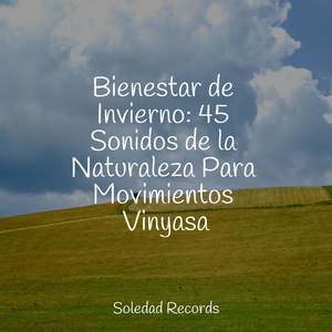 El Estrés Simplemente Se Derrite