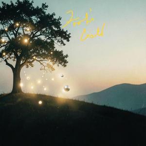 Fool's Gold
