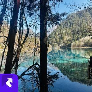 故乡的思念与时光回溯 (现场)