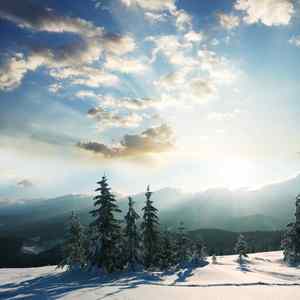 Poetry and wine lead the years