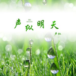 声纵抒情6
