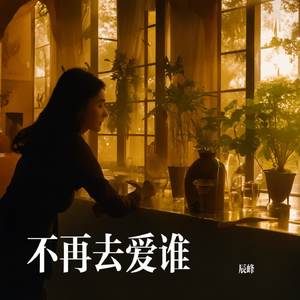 不再去爱谁