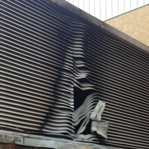 Ballad Of Cell Membrane