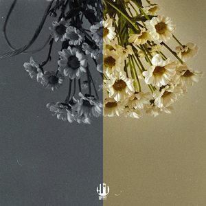 Важно это ты 2.0