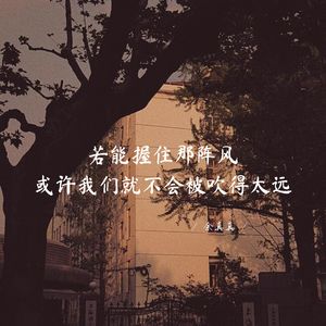 若能握住那阵风或许我们就不会被吹得太远
