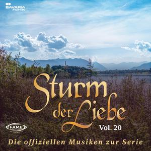 SDL ZERSTOERTE LIEBE