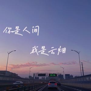 你是人间我是云烟（Demo）