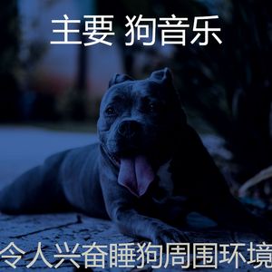 抚慰的训练犬回忆