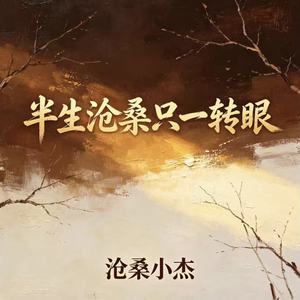 半生沧桑只一转眼