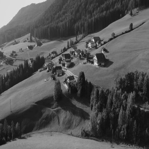 My Name Wants To Kill Your Mama