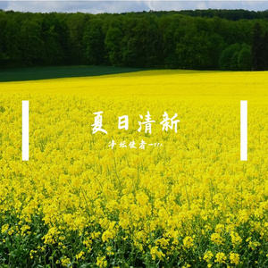 心动气泡