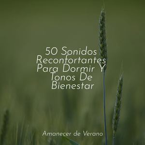 Perdido en los Campos de la Canción de Cuna