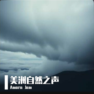 5.风雨飘摇
