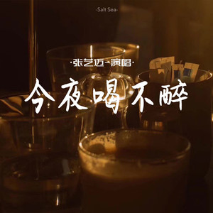 今夜喝不醉 (DJ道洋版)