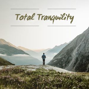 Meditation And Reflection