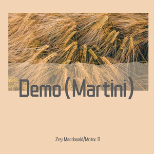 Demo（Martini）