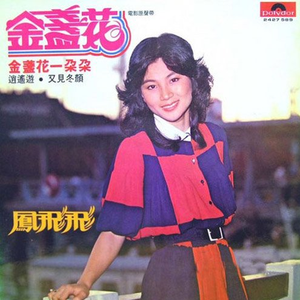 雨中之花(伴奏)