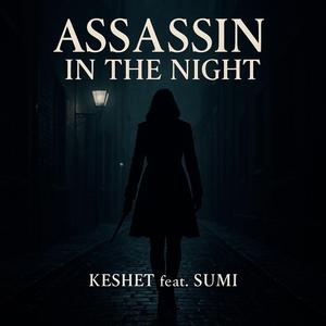 Assassin in the Night (feat. Sumi)