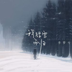 我踏雪而归 (伴奏)