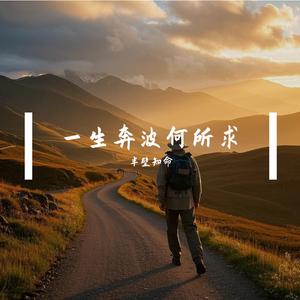 一生奔波何所求