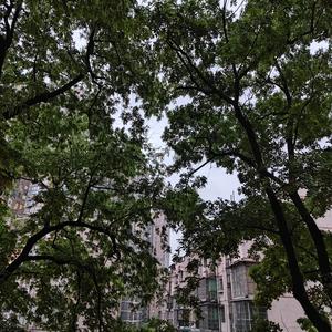 视频提取音频_往后余生1650454480636