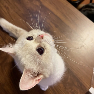 牵着手走过四季