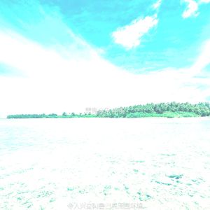 微妙的巴哈马心情