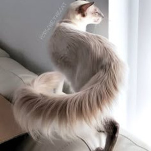 1970 Somethin' (slowed)