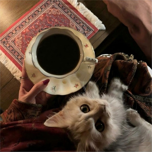 相遇就是上上签