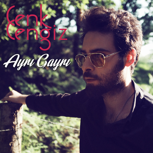 Ayrı Gayrı