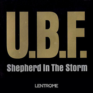 Shepherd in the Storm