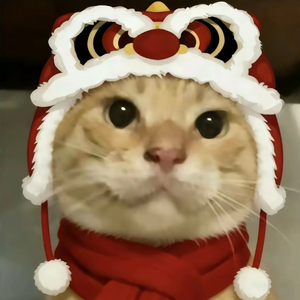 我借月光写下你