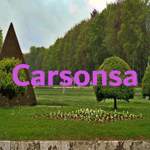 Carsonsa