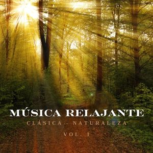 Música Relajante 13