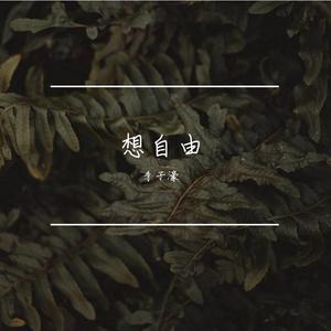 想自由